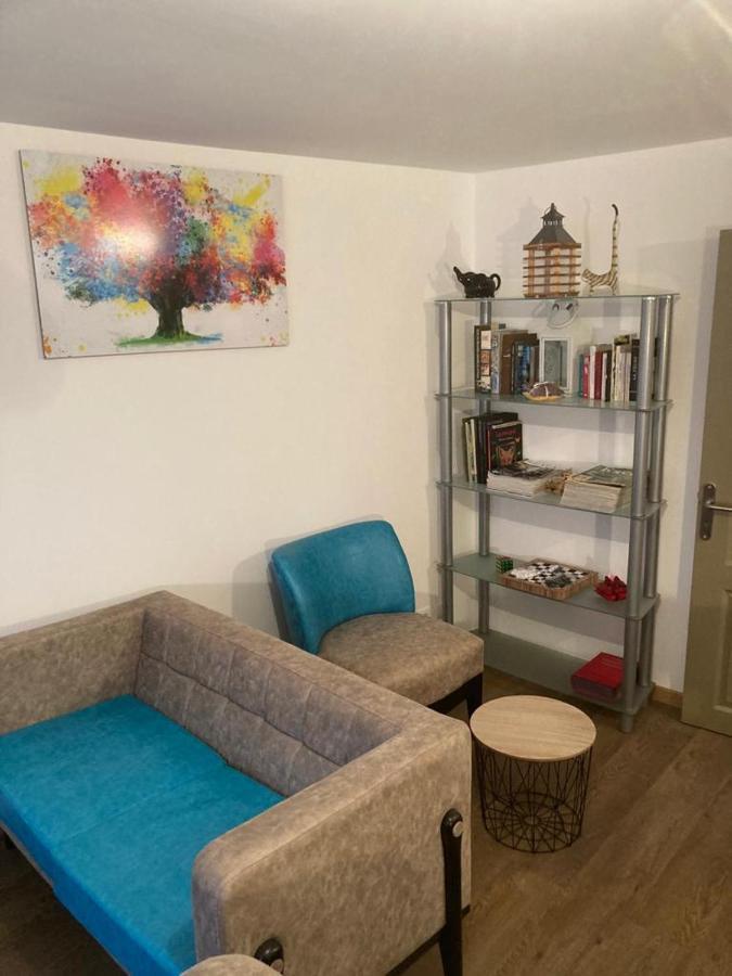 Appartement Plein Pied 45 M2 Baccarat Luaran gambar